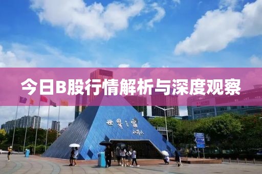 今日B股行情解析与深度观察
