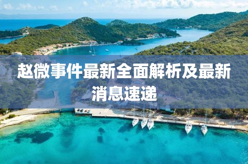 赵微事件最新全面解析及最新消息速递