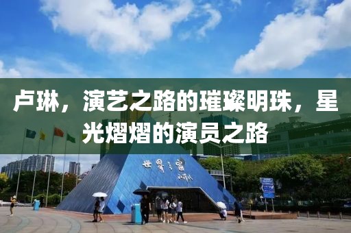 卢琳，演艺之路的璀璨明珠，星光熠熠的演员之路