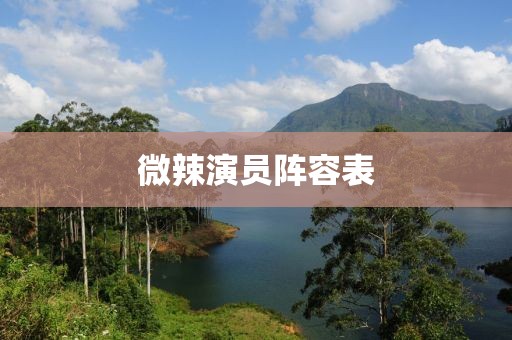 微辣演员阵容表