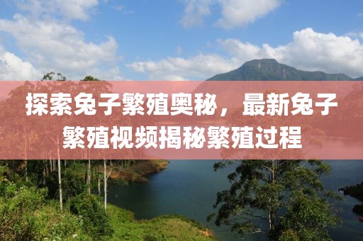 探索兔子繁殖奥秘，最新兔子繁殖视频揭秘繁殖过程