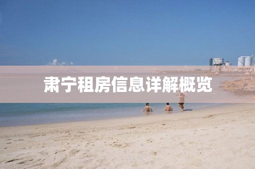 2025年3月 第215页