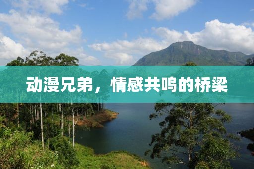 动漫兄弟，情感共鸣的桥梁
