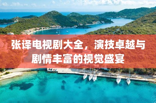 张译电视剧大全，演技卓越与剧情丰富的视觉盛宴