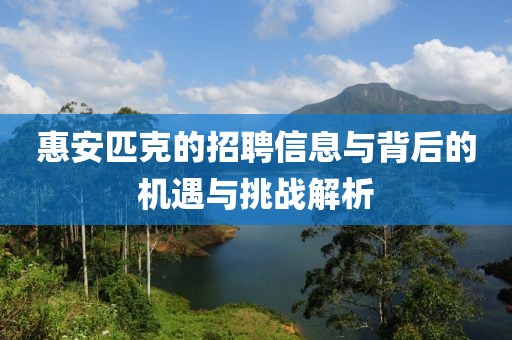 惠安匹克的招聘信息与背后的机遇与挑战解析