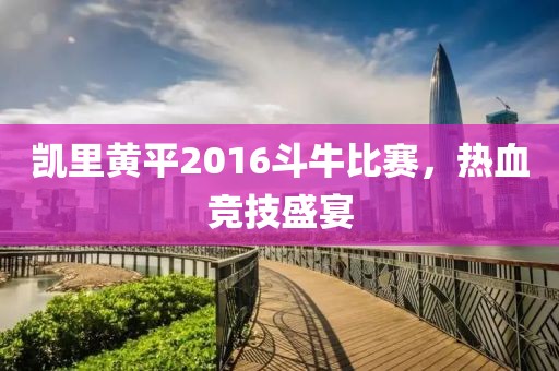 凯里黄平2016斗牛比赛，热血竞技盛宴