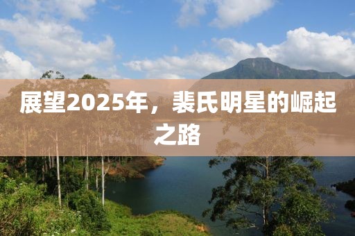 展望2025年，裴氏明星的崛起之路