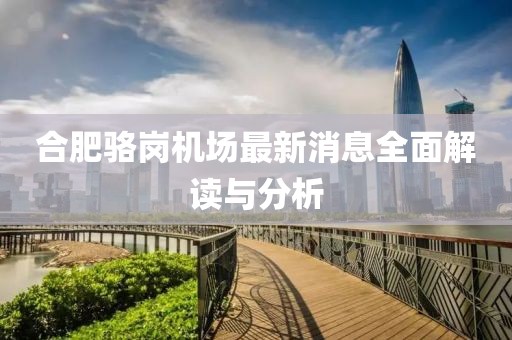 合肥骆岗机场最新消息全面解读与分析