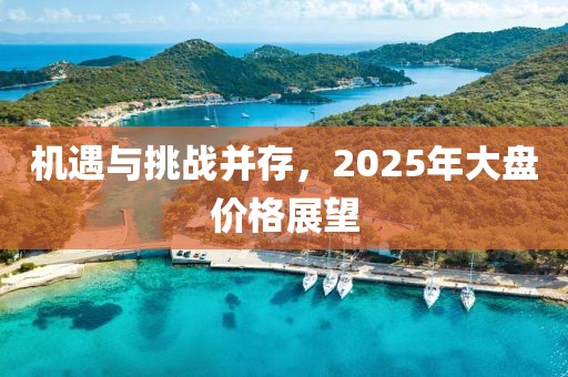 机遇与挑战并存，2025年大盘价格展望