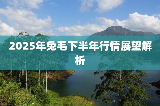 2025年兔毛下半年行情展望解析