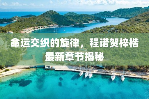 命运交织的旋律，程诺贺梓楷最新章节揭秘