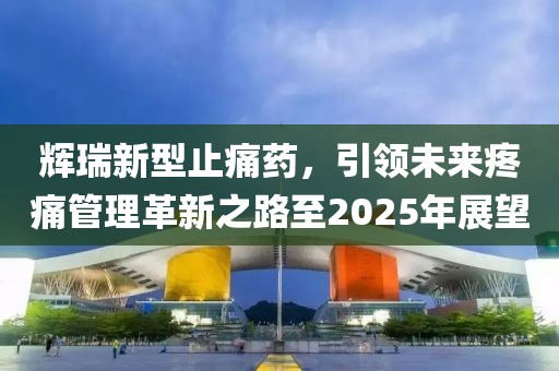 辉瑞新型止痛药，引领未来疼痛管理革新之路至2025年展望