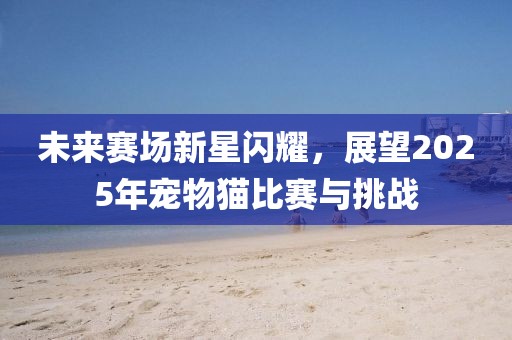 未来赛场新星闪耀，展望2025年宠物猫比赛与挑战