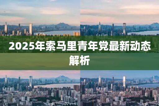 2025年索马里青年党最新动态解析
