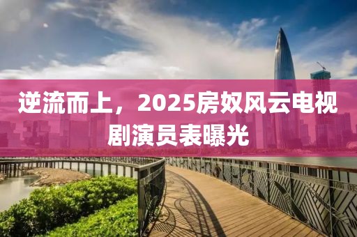 逆流而上，2025房奴风云电视剧演员表曝光