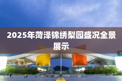 2025年菏泽锦绣梨园盛况全景展示