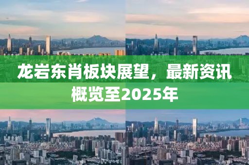 龙岩东肖板块展望，最新资讯概览至2025年