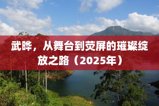 武晔，从舞台到荧屏的璀璨绽放之路（2025年）