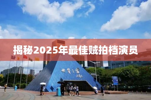 揭秘2025年最佳贼拍档演员