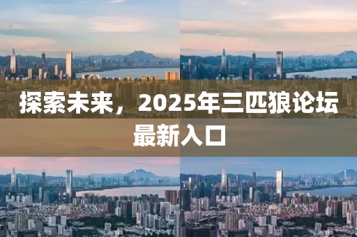 探索未来，2025年三匹狼论坛最新入口
