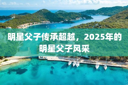 明星父子传承超越，2025年的明星父子风采