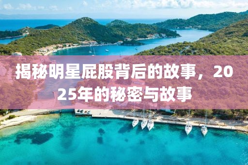 揭秘明星屁股背后的故事，2025年的秘密与故事