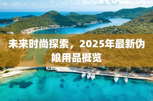 未来时尚探索，2025年最新伪娘用品概览