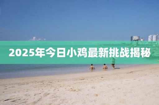 2025年今日小鸡最新挑战揭秘