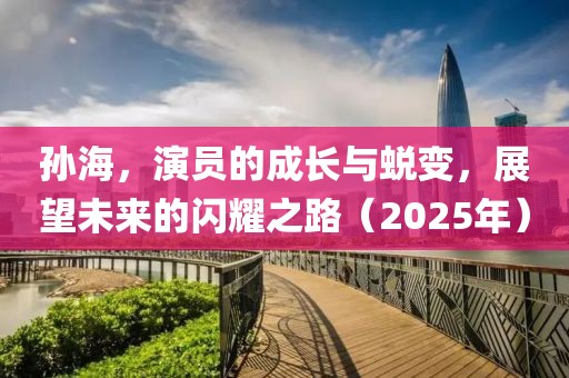 孙海，演员的成长与蜕变，展望未来的闪耀之路（2025年）