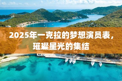 2025年一克拉的梦想演员表，璀璨星光的集结