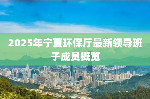 2025年宁夏环保厅最新领导班子成员概览