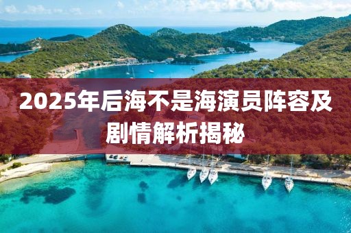 2025年后海不是海演员阵容及剧情解析揭秘