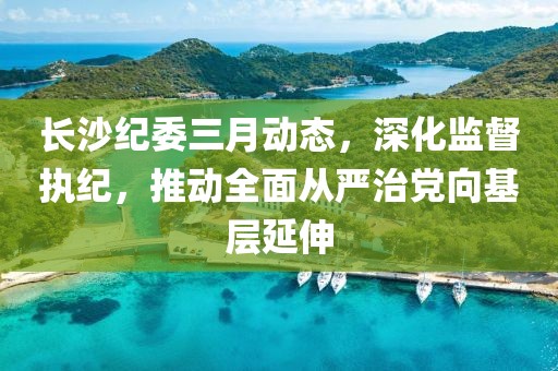 长沙纪委三月动态，深化监督执纪，推动全面从严治党向基层延伸