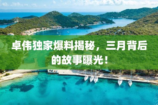 卓伟独家爆料揭秘，三月背后的故事曝光！