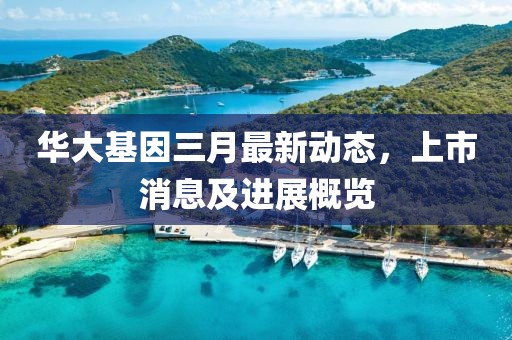 华大基因三月最新动态，上市消息及进展概览