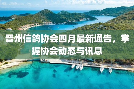 晋州信鸽协会四月最新通告，掌握协会动态与讯息