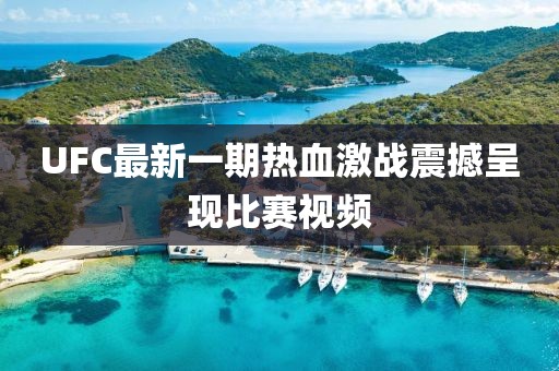 UFC最新一期热血激战震撼呈现比赛视频
