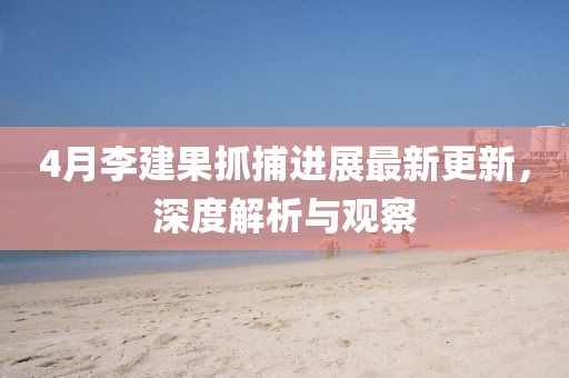 4月李建果抓捕进展最新更新，深度解析与观察