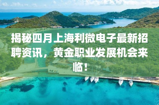 揭秘四月上海利微电子最新招聘资讯，黄金职业发展机会来临！
