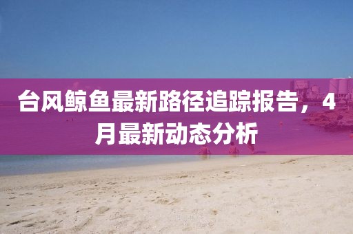 台风鲸鱼最新路径追踪报告，4月最新动态分析