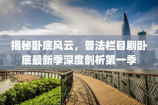 揭秘卧底风云，普法栏目剧卧底最新季深度剖析第一季