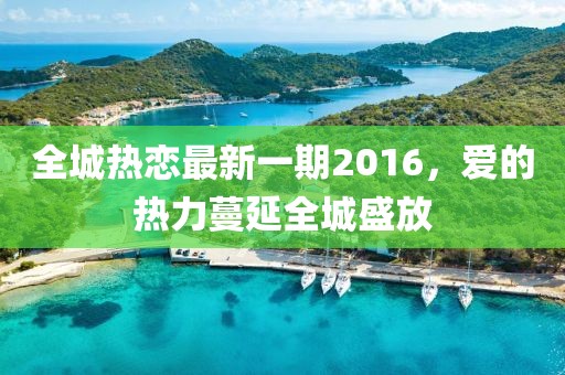 全城热恋最新一期2016，爱的热力蔓延全城盛放