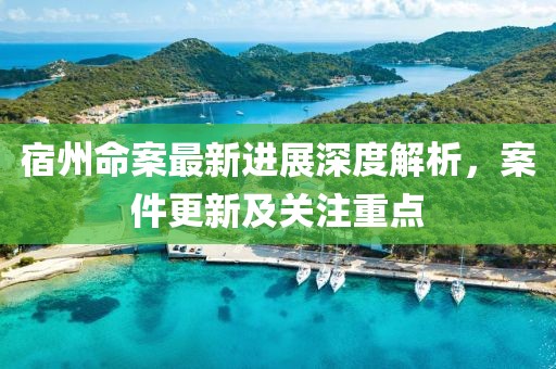 宿州命案最新进展深度解析，案件更新及关注重点