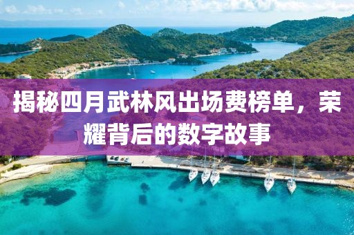 揭秘四月武林风出场费榜单，荣耀背后的数字故事