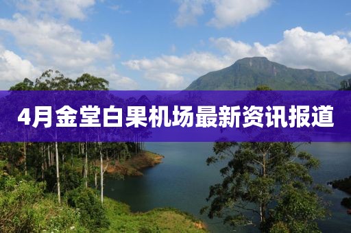 4月金堂白果机场最新资讯报道
