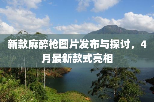新款麻醉枪图片发布与探讨，4月最新款式亮相