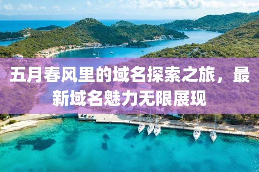 五月春风里的域名探索之旅，最新域名魅力无限展现