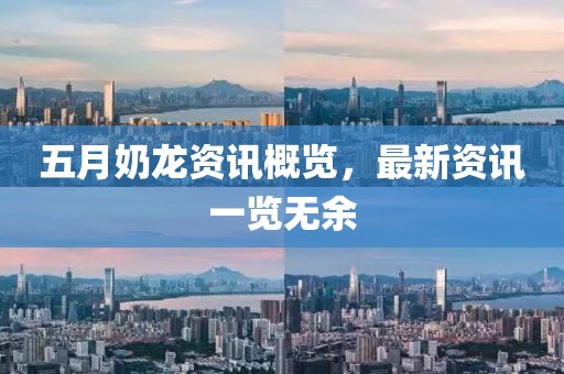 五月奶龙资讯概览，最新资讯一览无余
