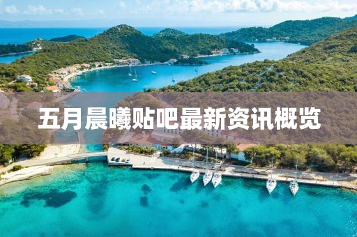 五月晨曦贴吧最新资讯概览