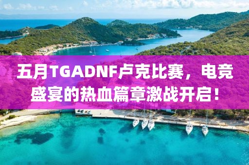 五月TGADNF卢克比赛，电竞盛宴的热血篇章激战开启！